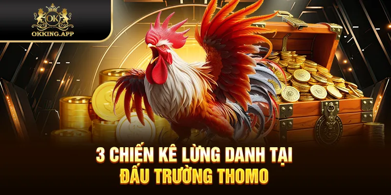 3 chiến kê lừng danh tại đấu trường Thomo