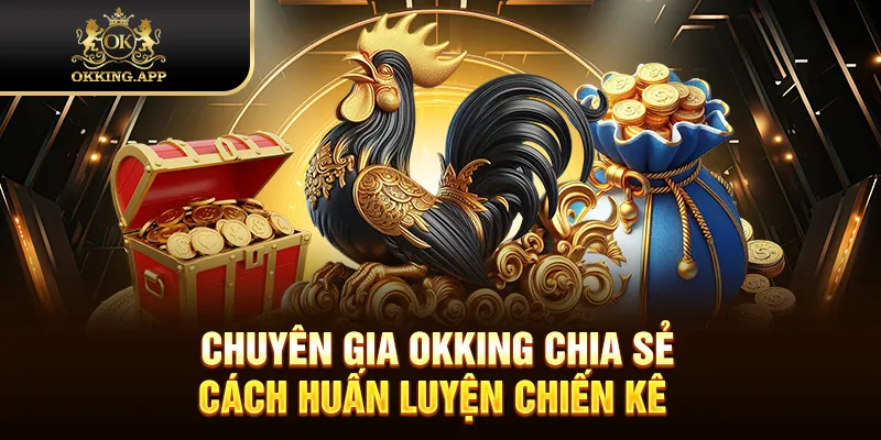 Chuyên gia OKKING chia sẻ cách huấn luyện chiến kê 