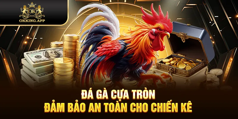 Đá gà cựa tròn đảm bảo an toàn cho chiến kê