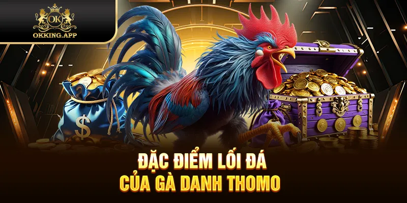 Đặc điểm lối đá của gà danh Thomo 