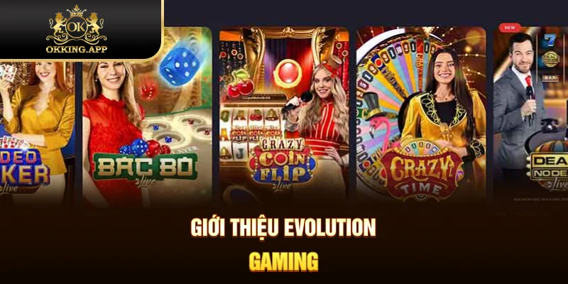 Tổng quan về Evolution Gaming