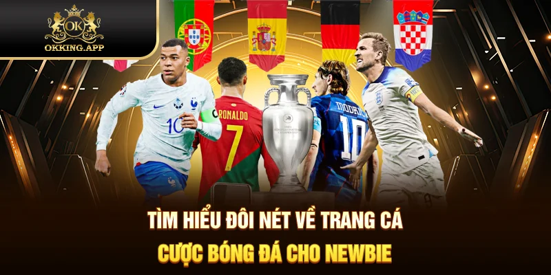 Tìm hiểu đôi nét về trang cá cược bóng đá cho Newbie