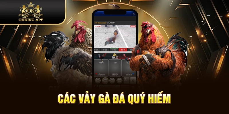 Các loại vảy gà đá hiếm nhưng cực kỳ mạnh mẽ