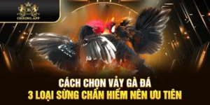cách chọn vảy gà đá