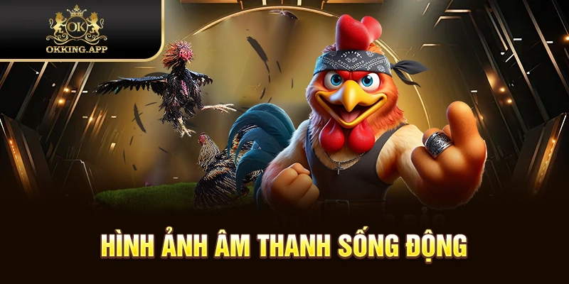 Hình ảnh từng chiến kê luôn sắc nét và chân thực