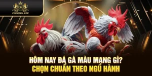 hôm nay đá gà màu mạng gì